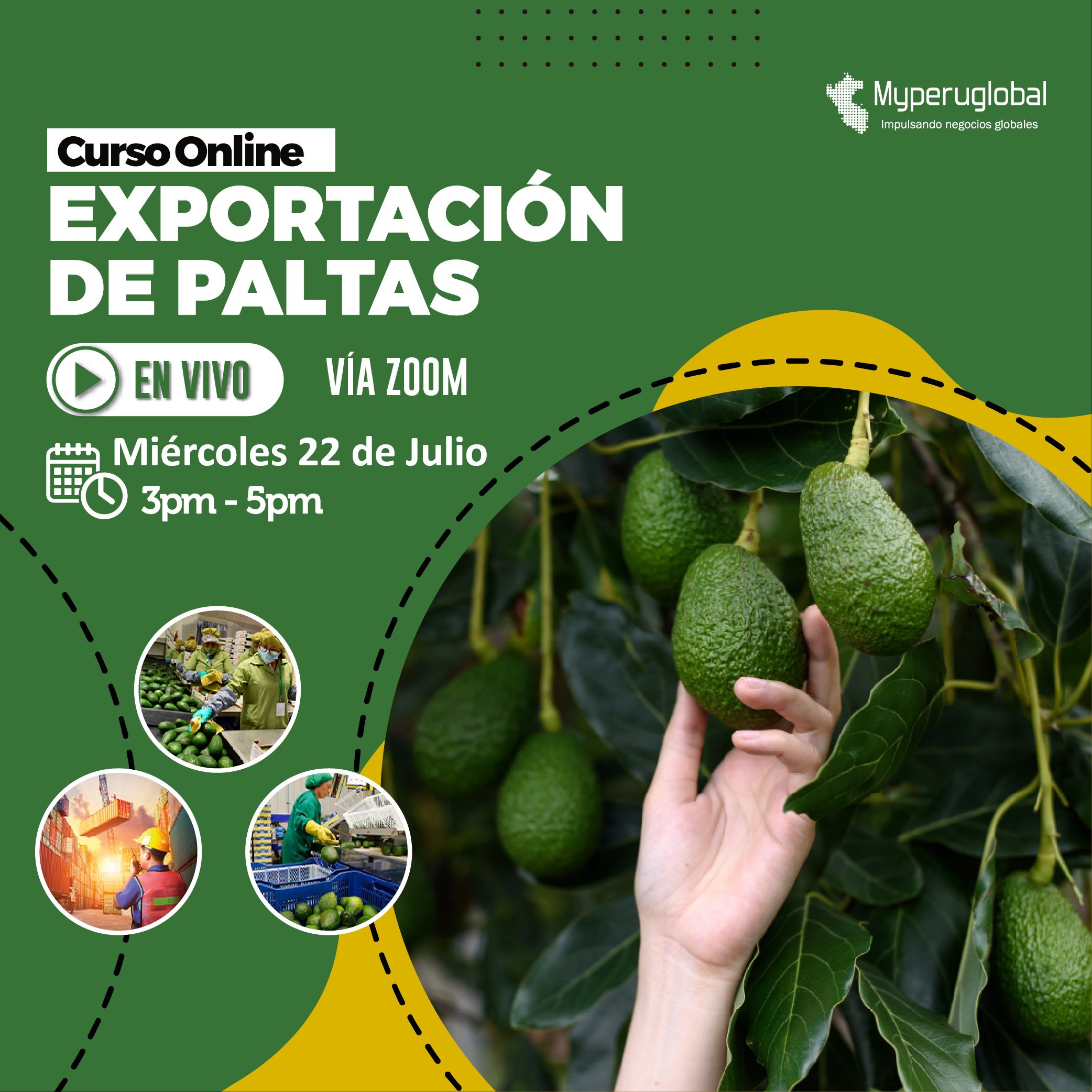 Curso en vivo julio 2026