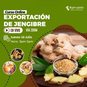 Exportación de Jengibre