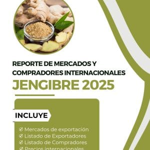 Reporte Comercial de Exportación de Jengibre 2025
